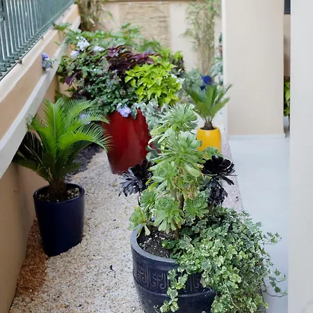 Le Pietrasantine - Garden 3*